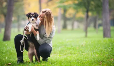 Centrum Kynologiczne Canid - Bielsko-Biała
